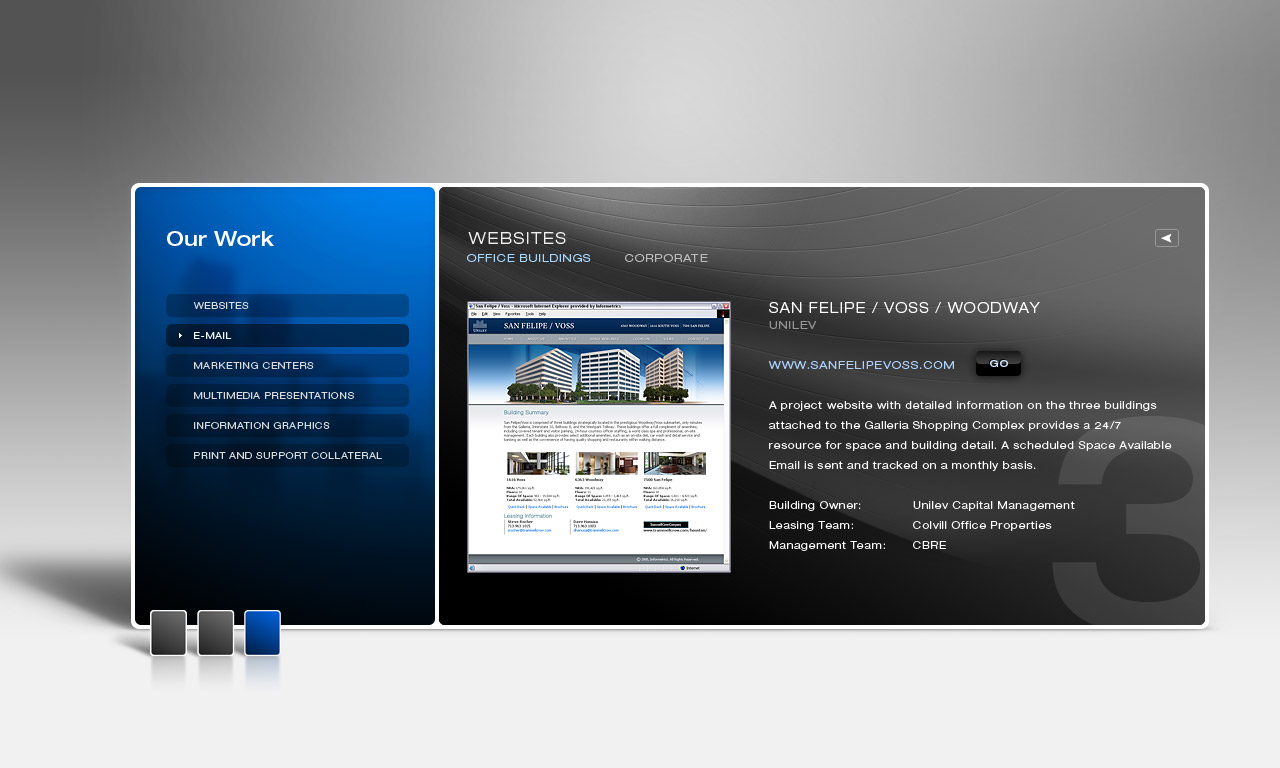website_detail