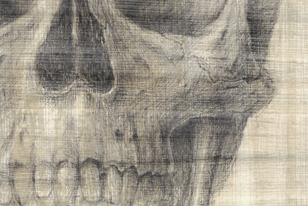 Skull Study